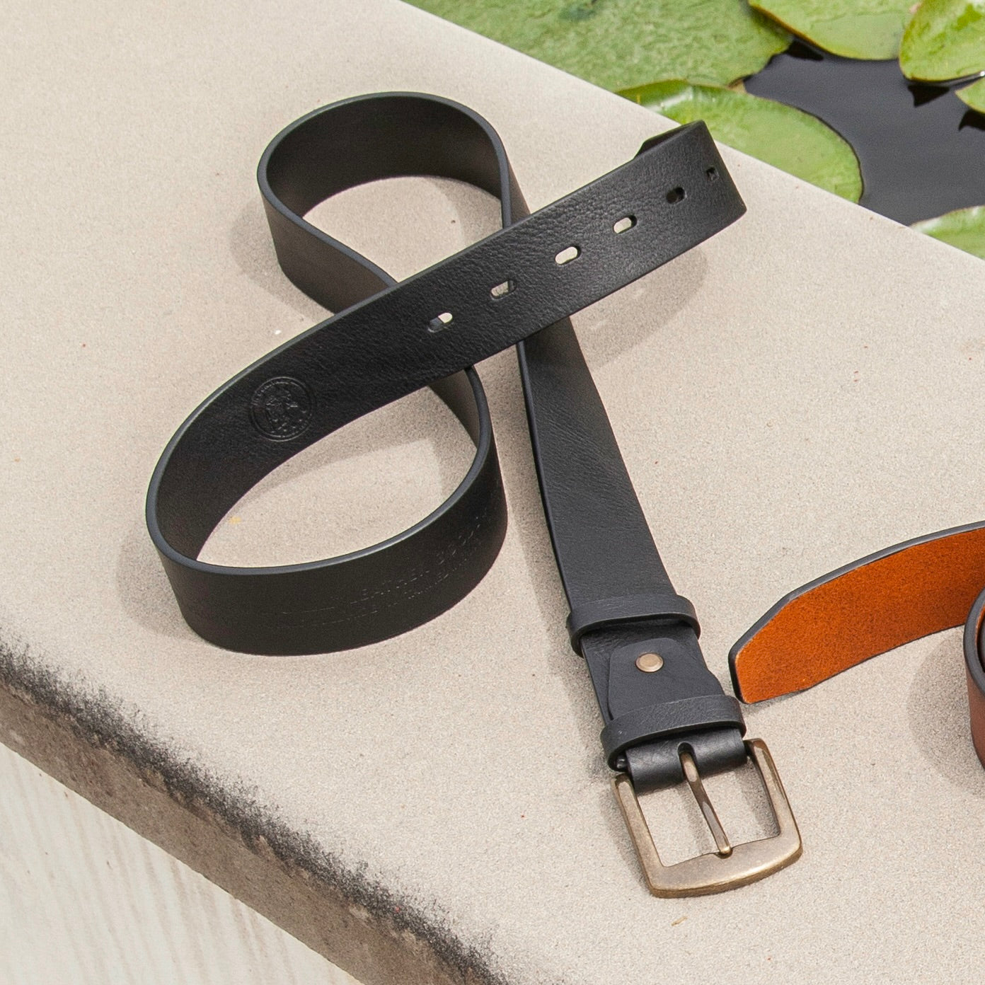 Antiniazzi Firenze genuine leather belt, Size L , 43 inch FIRENZE Leather Belt – Tuscan Bull main image 2